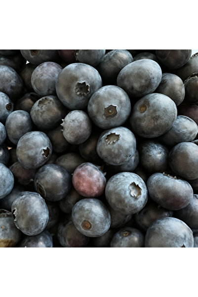 BlackSeaOrganics Ev Yapımı Yaban Mersini Reçeli 350g – Katkısız & Geleneksel Üretim