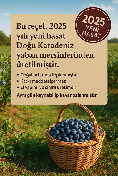 BlackSeaOrganics Ev Yapımı Yaban Mersini Reçeli 350g – Katkısız & Geleneksel Üretim