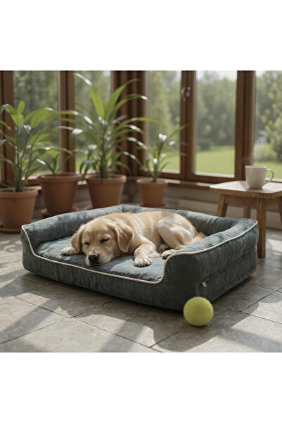 viscopet Premium Sofa Blok sungerli Alezli Fermuarlı Yıkanabilir Köpek Yatağı-S-antrasit