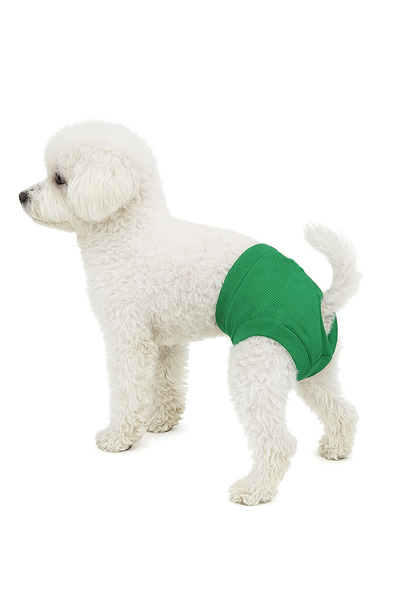 Buddy Store Yeşil Dişi Kedi ve Köpek Yıkanabilir Rahat Giyim Regl Külotları