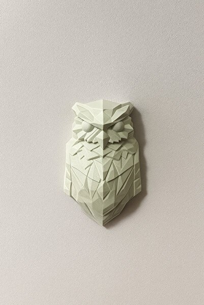 Genel Markalar 3 Boyutlu Led Duvar Lambası, HEDWİG BAYKUŞ Figürü, Led Aplik, ...