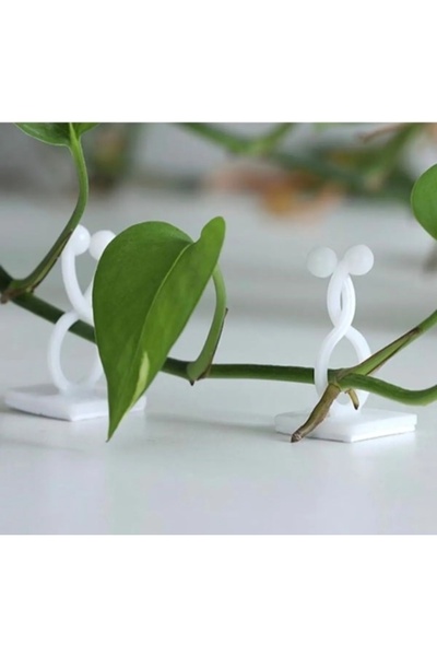 evinizin vitrini 10 Adet Bitki Klipsi Sarmaşık Tutucu Kendinden Yapışkanlı Pr...