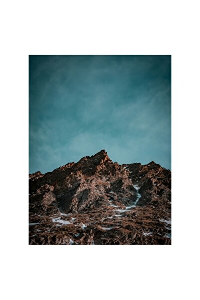 OEM Tablou Canvas Premium - Varf Montan Salbatic