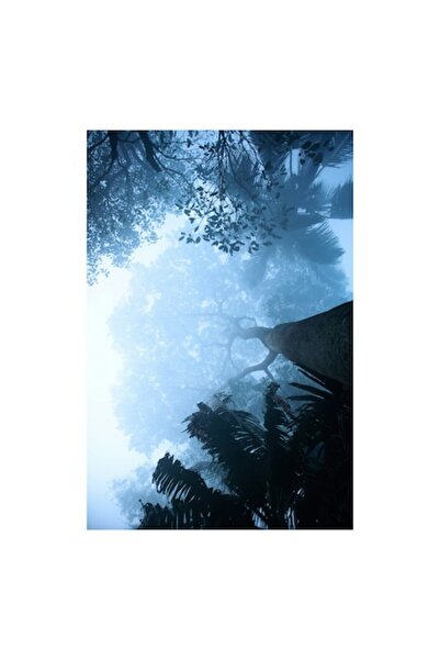 OEM Tablou Canvas Premium – 'Susurul Padurii'