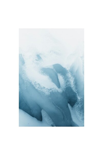 OEM Tablou Canvas, "Inghet Visator"