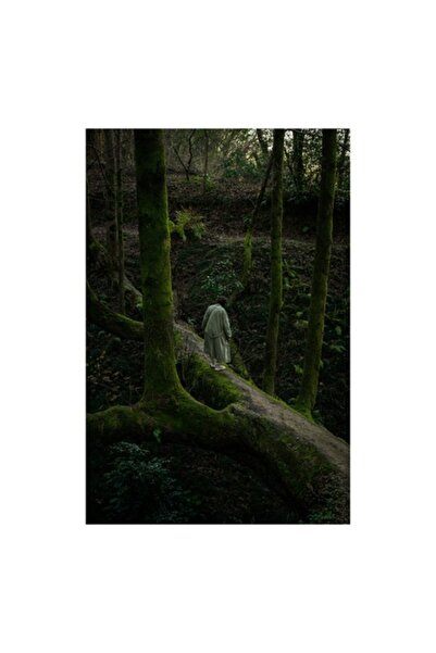 OEM Tablou Canvas, "Pelerin solitar in padurea fermecata", Padure, Carare, Co...