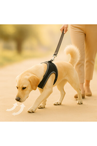 BEYLİNİ S-M-L Washable Mesh Mesh Chest Harness Breathable Anti-Sweat Durable Clip-On Velcro Leash