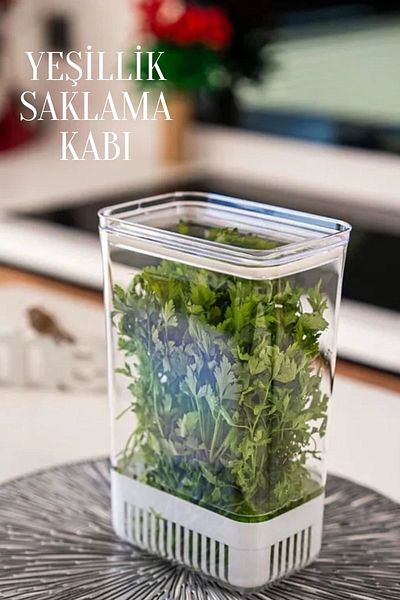Rotanev 1 Piece 2900 ml Greenery Storage Container |   Vegetable Storage & Refrigerator Freshener Organizer Box