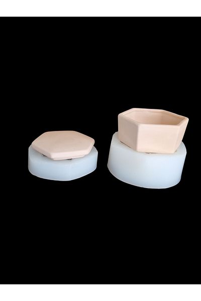 La Bienne 2 Pieces of Silicone Mold with Cover 11 X 6 cm