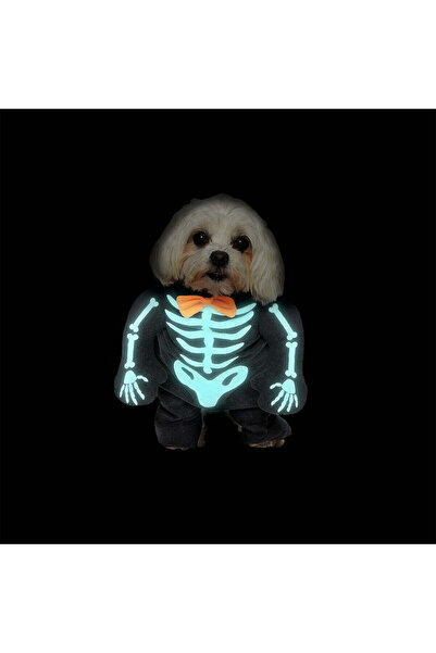 Flying Tiger Copenhagen İskelet Desenli EvcilHayvan Kostümü