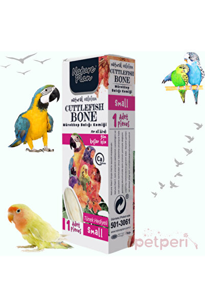 Nature Plan Mürekkep Balığı Kemiği Small - Gaga Taşı