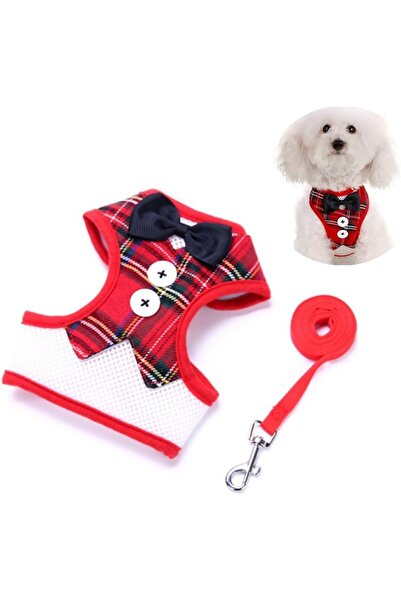 EDA LUXURY BEAUTY 2'li Özel Köpek Kedi Lüks Papyonlu Göğüs Tasması & Gezdirme Kıyafeti Küçük Irk Süslü Pet Leash Set