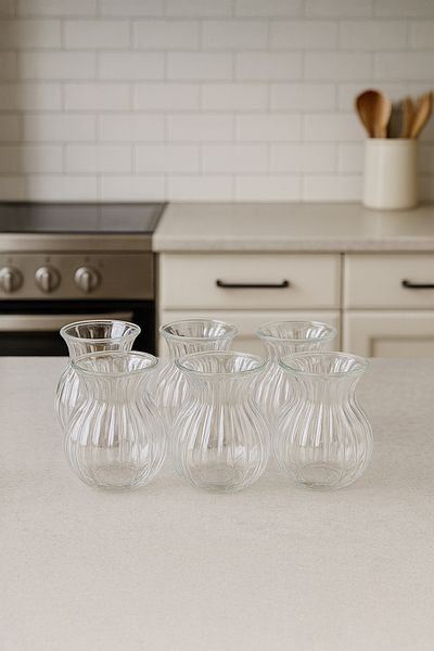 Vadi Keyf-I Ala 6-Piece Heat Resistant Borosilicate Glass Striped Tea Cup 200 ml