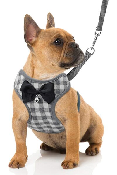 EDA LUXURY BEAUTY 2-Piece Special Dog Cat Luxury Bell Bow Tie Chest Collar & Travel Outfit Small Breed Fancy Leash Set