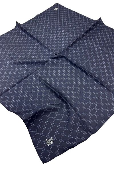 Levidor Twill Silk Scarf Ld1066-01