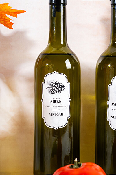 Homekolik 3 Piece 750 ml Green Glass Oil & Vinegar Set – with Sippy Head