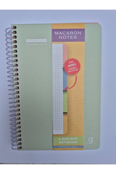 Gıpta MACARON BILJEŠKE 17X24 120 LISTOVA Karirano 4 SEKCIJE