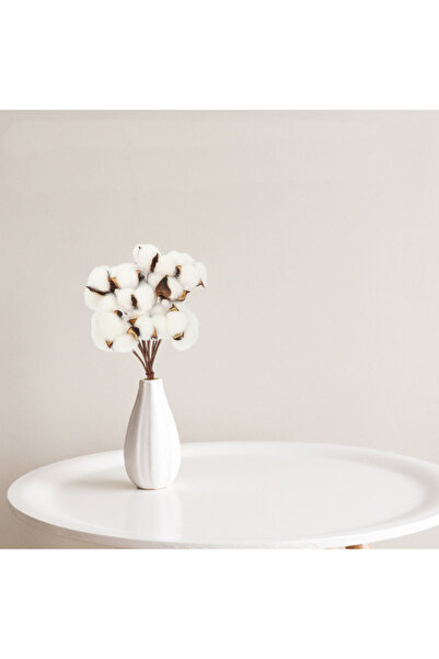 EVİMDM 6’lı Dekoratif Doğal Pamuk Dalları – Yıl Boyu Solmayan Ev Dekoru