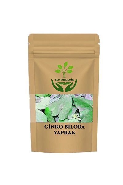 tan organik Ginko Biloba (Matte tree)Leaf 1000g