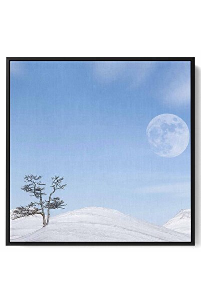 LOWHA لوحة فنية جدارية من القماش مشدودة على إطار خشبي بإطار أسود عائم وتصميم ...