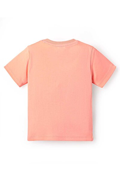 Bonfino Dinosaurs Printed T-Shirts (Pack Of 2) - Dark Grey & Peach