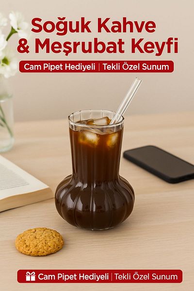 Open Home Concept 1 Premium Glass Cup with Glass Straw Gift – Cold Coffee, Lemonade and Soda Presentations 500 ml