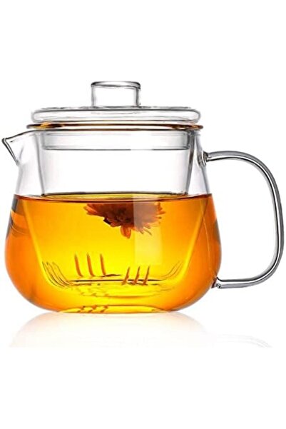 mastergold Clear Glass Tea Mug with Heat Resistant Filter and Lid for Herbs Flowers and Leaves 16 oz