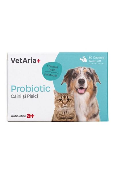 Antibiotice VetAria+ Probiotic - Nutritional Supplement for Dogs and Cats