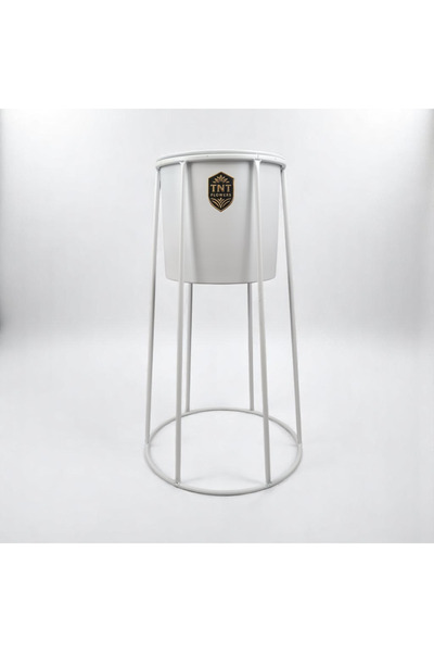 TNT Flowers AMSTERDAM BEYAZ METAL SAKSI