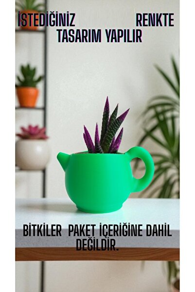 moistrid Dekoratif Çaydanlık –Demlik Tasarımlı Mini Sukulent Kaktüs Saksı (Bi...