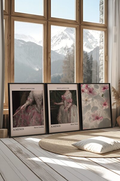 Postifull Siyah Tablo Seti, 3 Adet Siyah Çerçeveli Poster Neoclassicism Model No:300813, Pembe ve Siyah Dekor