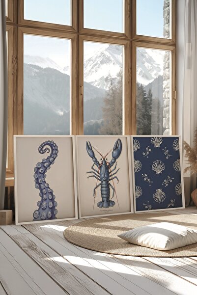 Postifull Beyaz Tablo Seti, 3 Adet Beyaz Çerçeveli Poster Sea Shells Model No:300856, Lacivert Duvar Dekoru