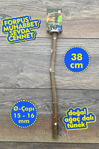 Vixpet Venty 38 cm Natural Parrot Leg |   Branch Trench |   Sultan Muhabbet Forpus Sevda Paradise Kakariki - T548