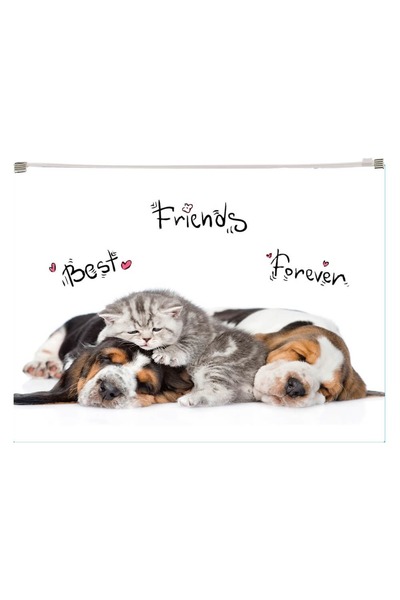 Panta Plast Mapa plastic inchidere cu fermoar A4 design Animale