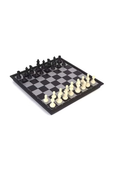 rexa Magnetic Chess Set – Portable & Secure Play