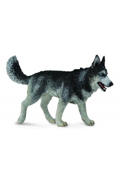 Collecta Figurina Caine Husky Siberian L