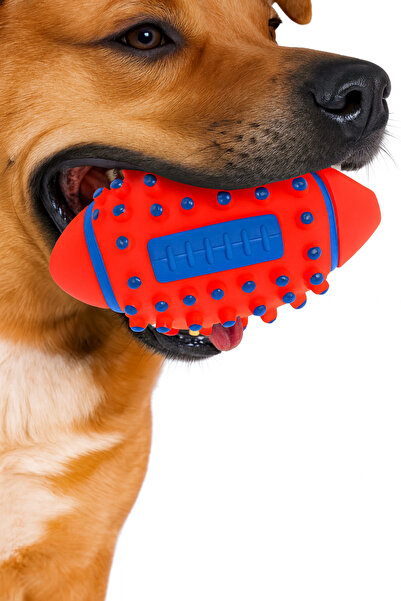 Pati Cool Sound Cat Dog Spiky Bite and Chew Ball