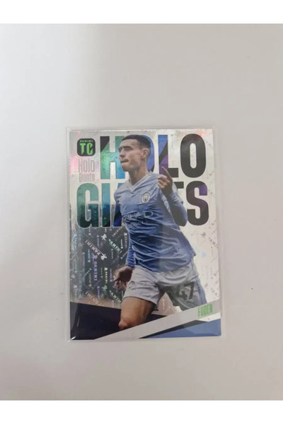 Panini فودن هالو جاينت