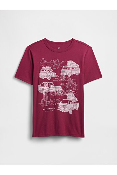 GAP Erkek Çocuk Bordo Grafik Baskılı T-Shirt