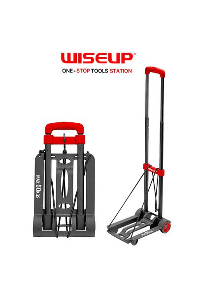 WISEUP 50 kg flatbed truck