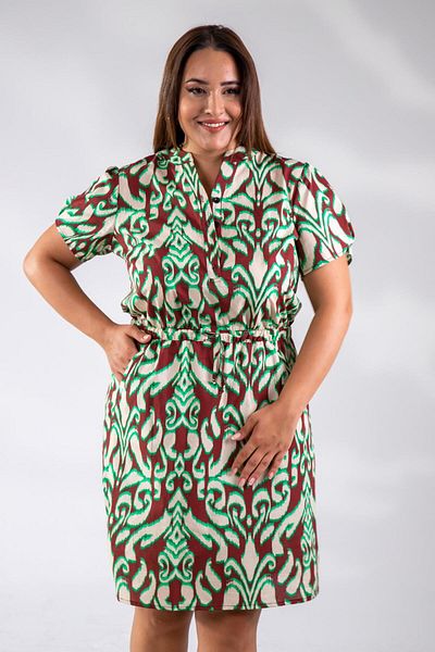 Roxxlen Plus Size Buttoned Elastic Waist Dress