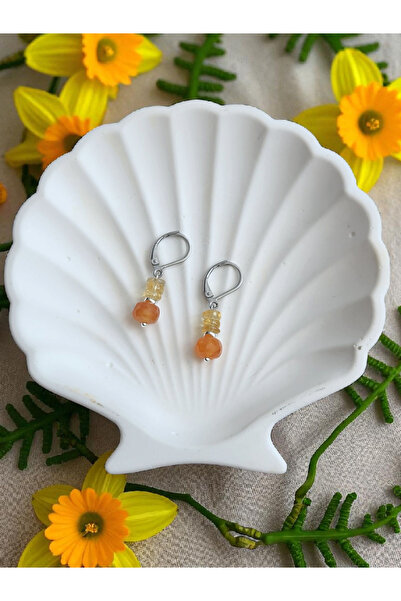 Home Citrine & Carnelian Agate Steel Earrings