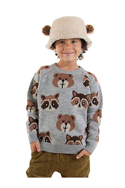 Denokids Bear Raccoon Boy's Gray Knitwear Sweater