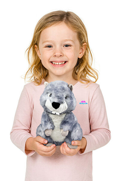 hediyecik لعبة سنجاب قطيفة لطيفة، رفيق اللعب والنوم 25 سم