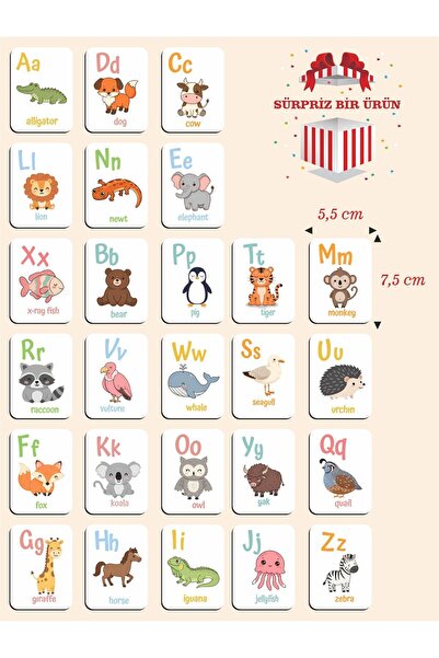 Saatistan Ahşap İngilizce Alfabe Kartları, Eğitim ve Öğrenme Seti, Montessori, Çocuklar İçin