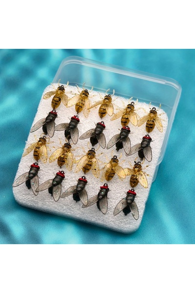 Choice FCP29T-2692 ANFS مجموعة من 20 طُعم صيد سمك ناعم عالي الجودة - طُعم ذبا...