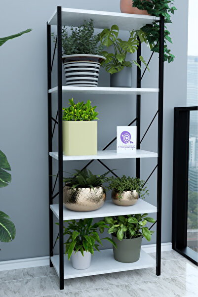 Morpanya Asroyal Metal Çiçeklik Rafı Çiçek Dolabı Çiçek Organizer Çiçek Düzen...