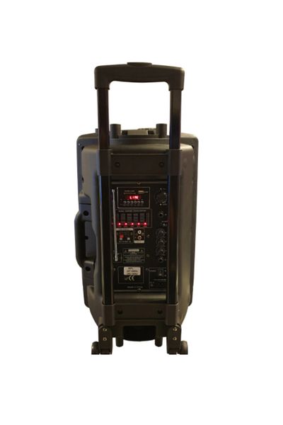 Temeisheng Active Portable Speaker 350w 12 Inch