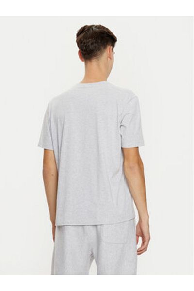 Champion Men's T-Shirt 220713 Gray