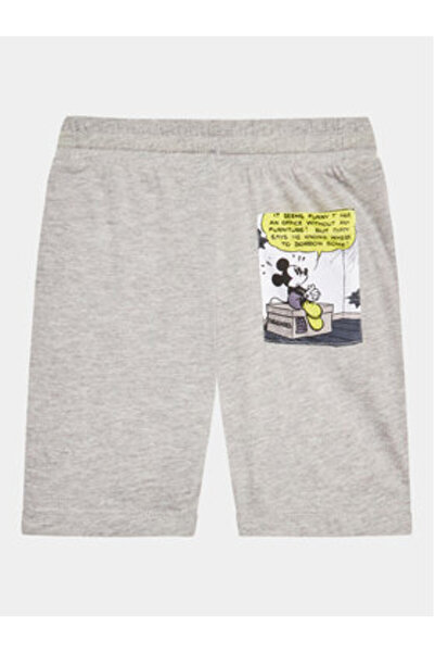 Champion Women's Sweatshirt 117491 Orange